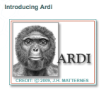 Screen shot 2009-10-26 at 6.45.17 PM