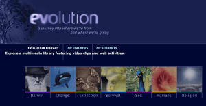 Screen shot 2009-11-11 at 11.47.14 AM