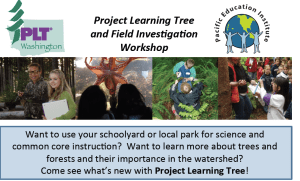 Screen Shot 2013-05-30 at 1.13.23 PM